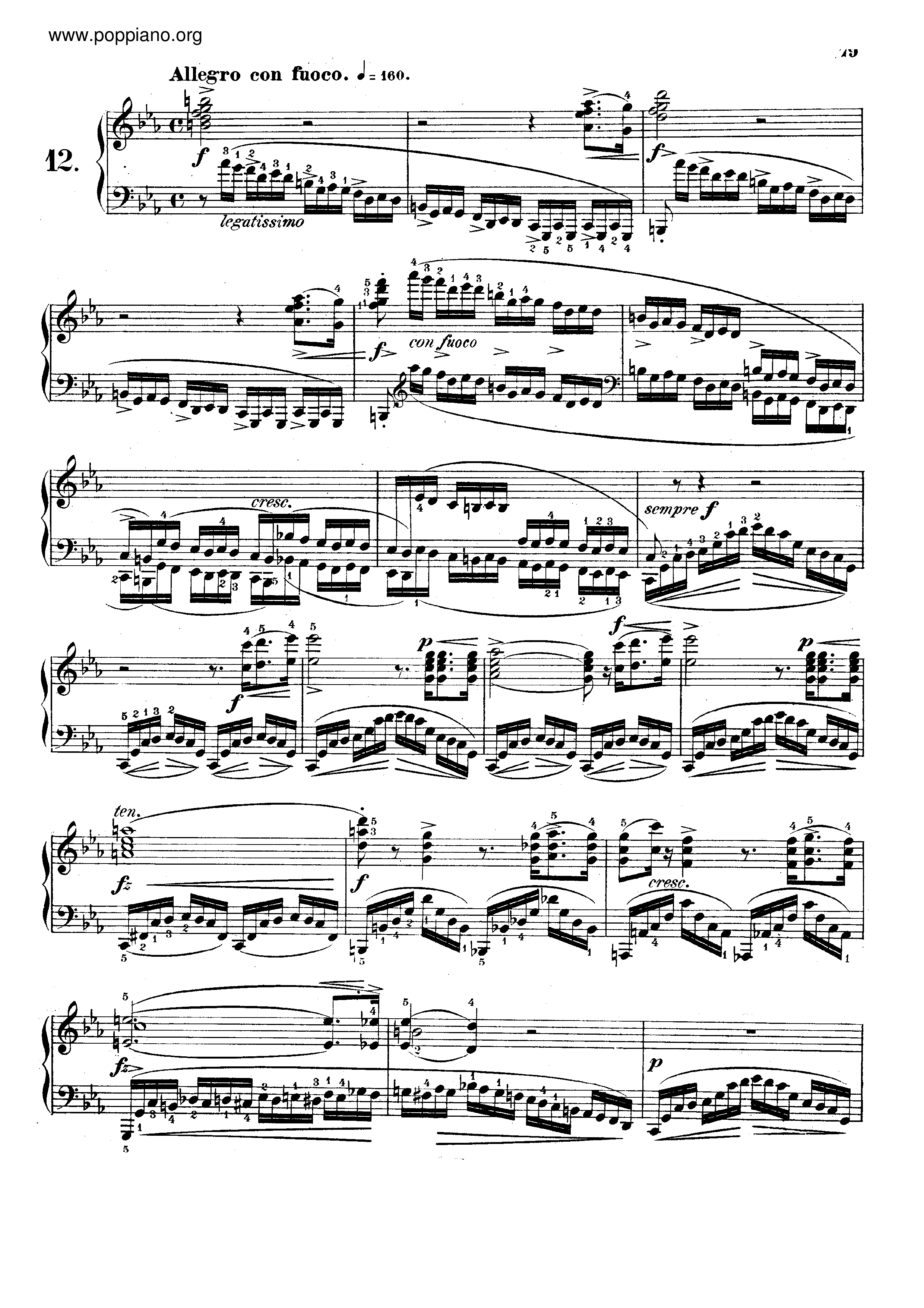 Op. 10, Etude No. 12 革命练习曲琴谱