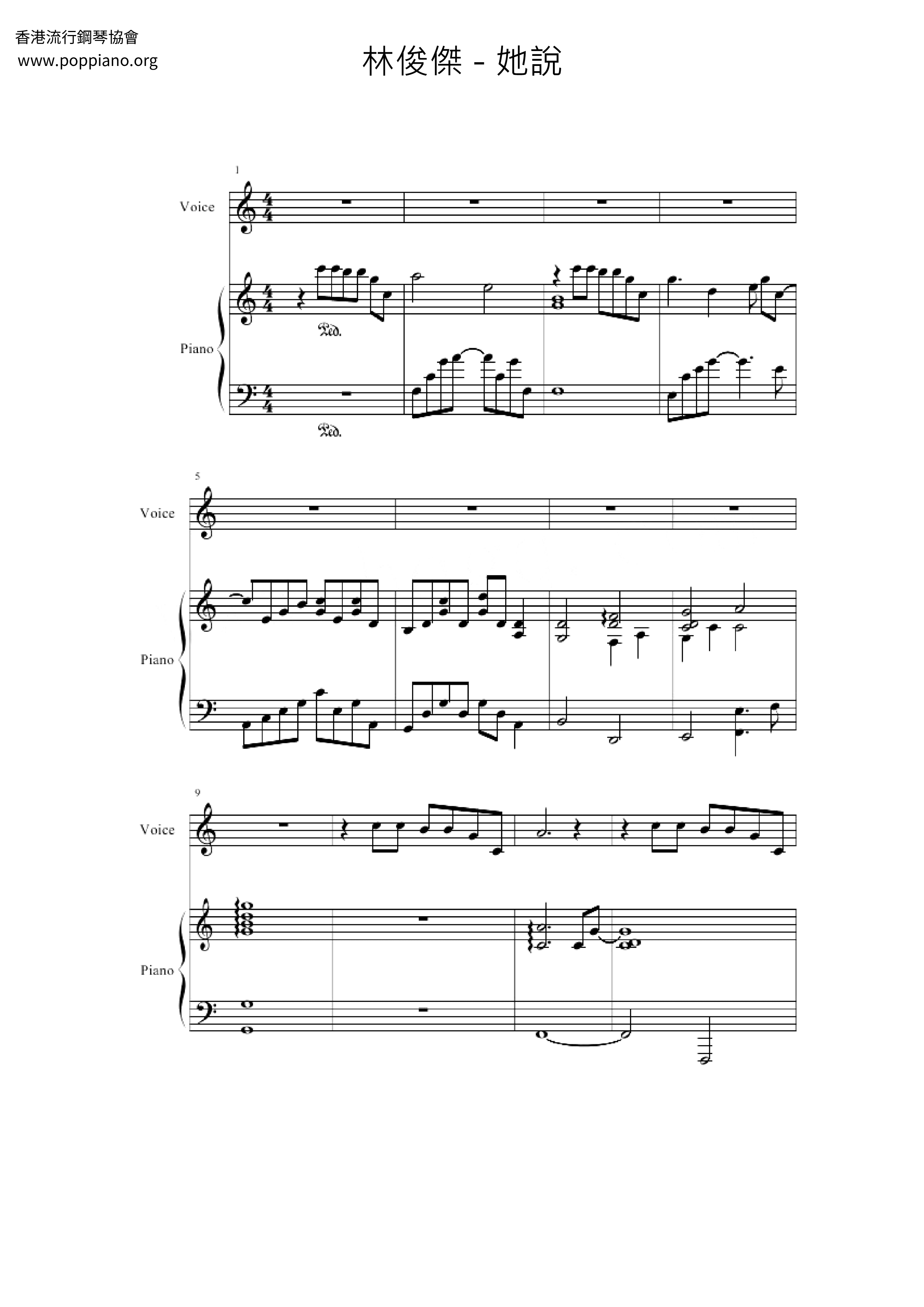 她说琴谱