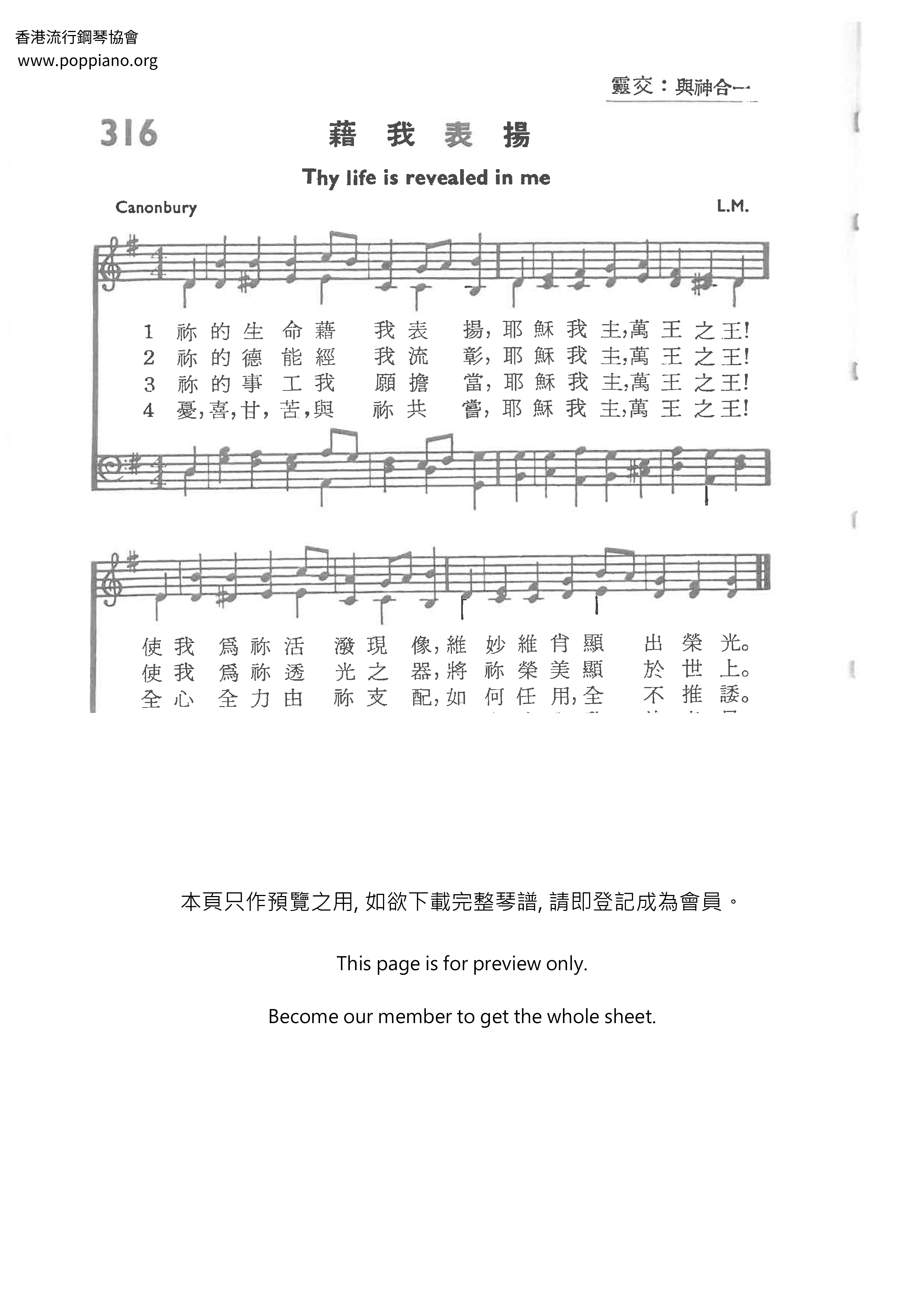 藉我表扬琴谱