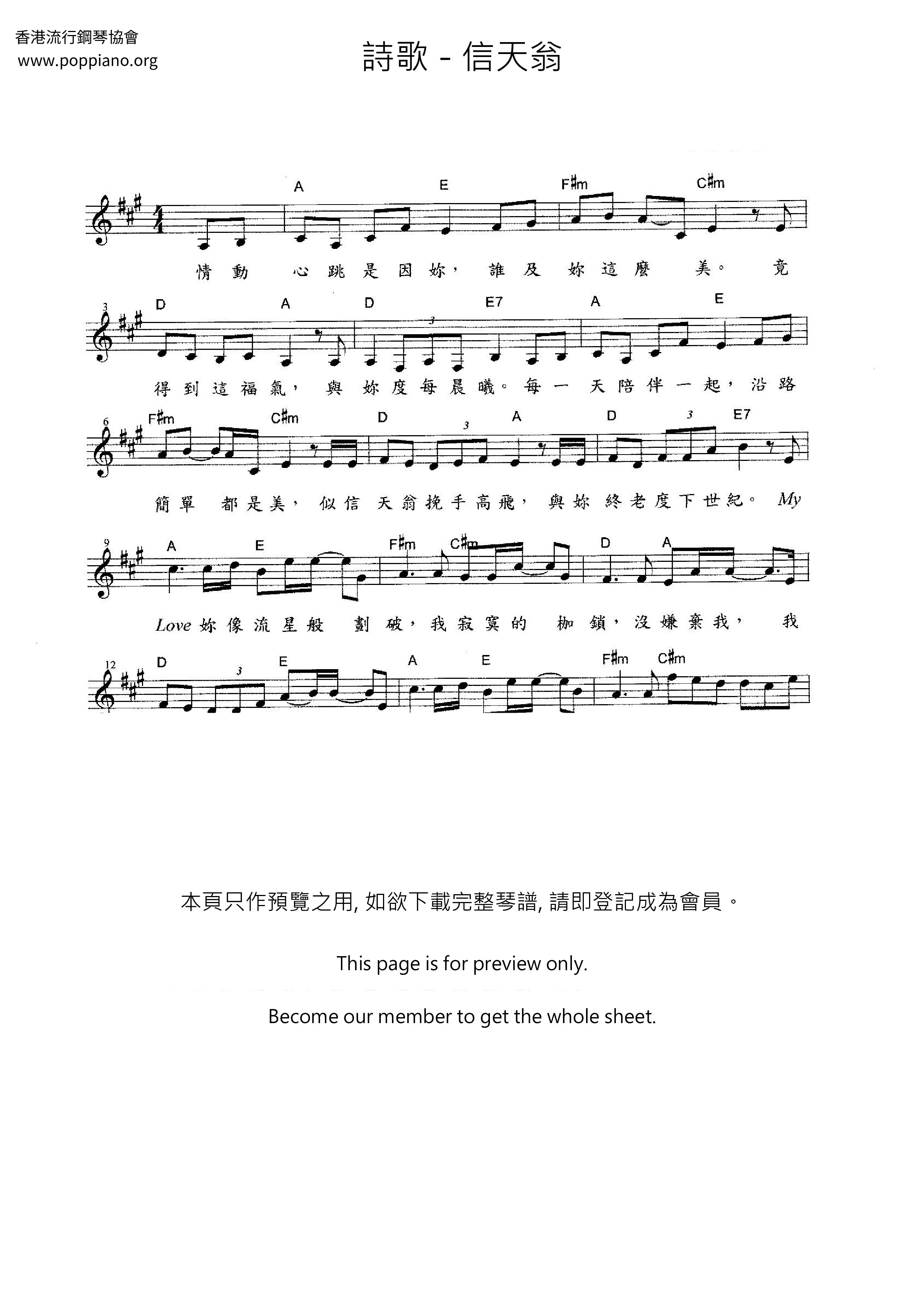 信天翁琴谱