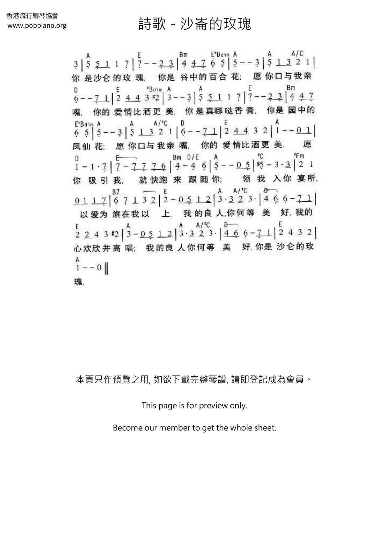 沙崙的玫瑰琴谱