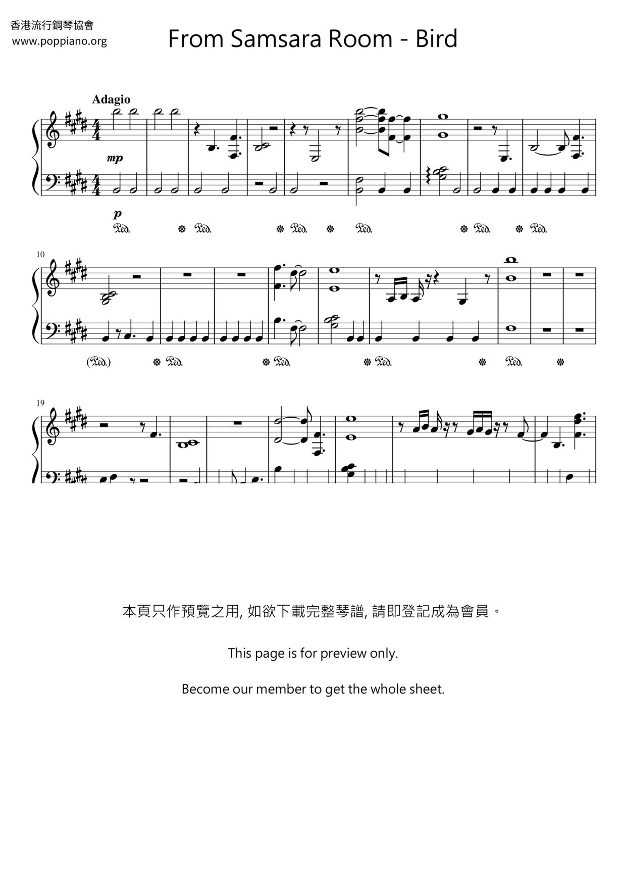 Bird琴谱