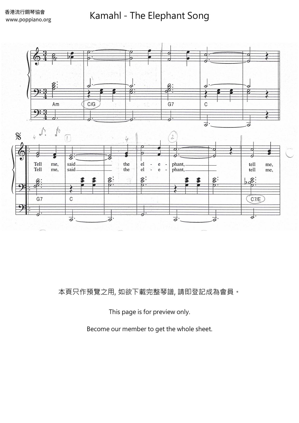 The Elephant Song琴譜