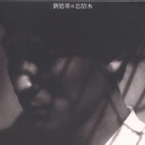 忘情水 劉徳華 歌詞 / lyrics