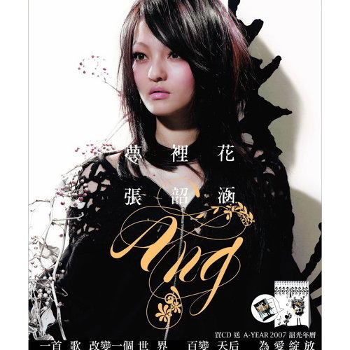 C大調 張韶涵 歌詞 / lyrics
