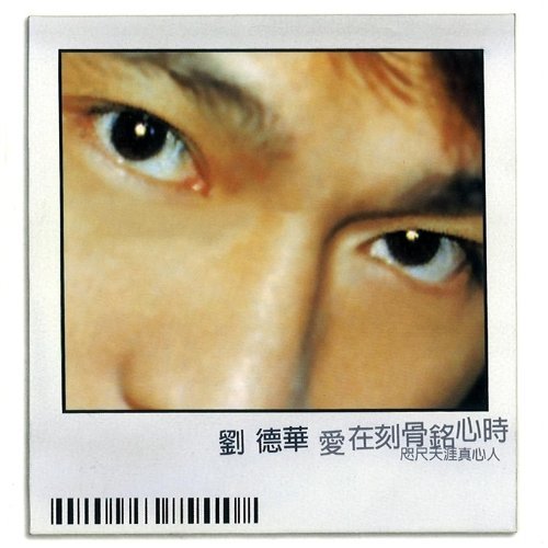 冰雨 劉徳華 歌詞 / lyrics