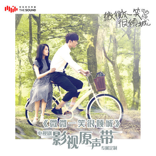 微微一笑很傾城 楊洋 歌詞 / lyrics