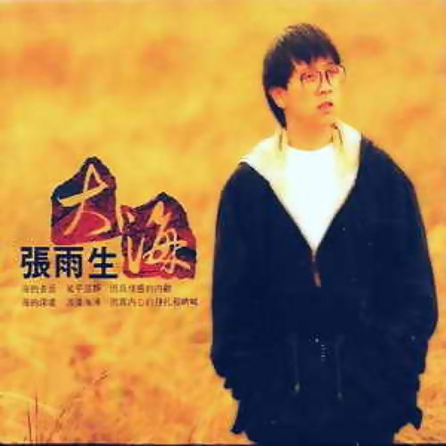 大海 张雨生 歌詞 / lyrics