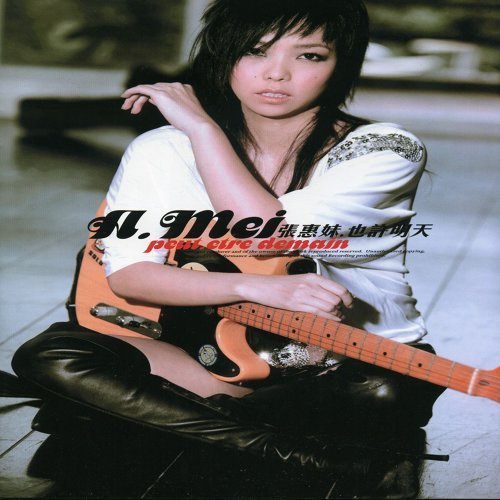 Can't Get Through A-Mei Chang 歌詞 / lyrics