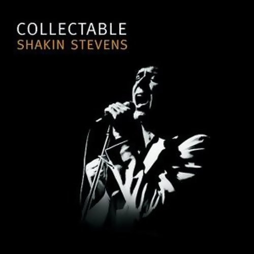 Because I Love You Stevie B, Shakin\' Stevens 歌詞 / lyrics