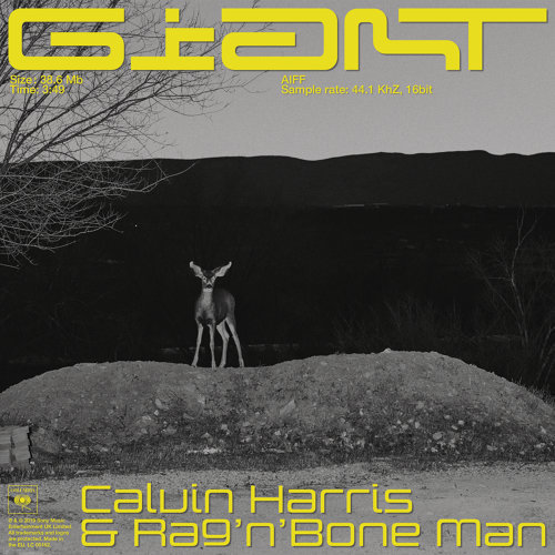 Giant Rag\'n\'Bone Man & Calvin Harris 歌詞 / lyrics