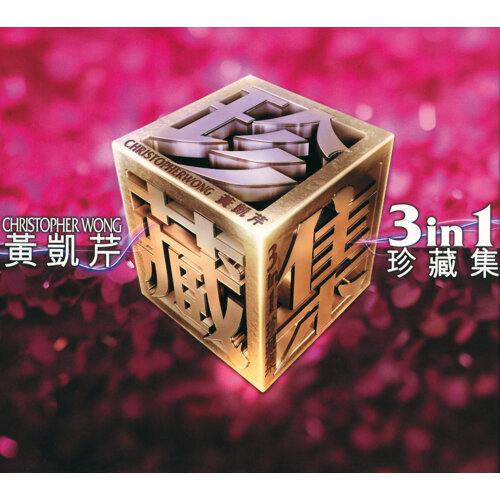 伤尽我心的说话 黄凯芹 歌詞 / lyrics