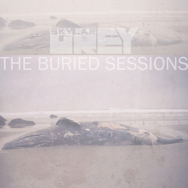 Coming Home - Part II Skylar Grey
