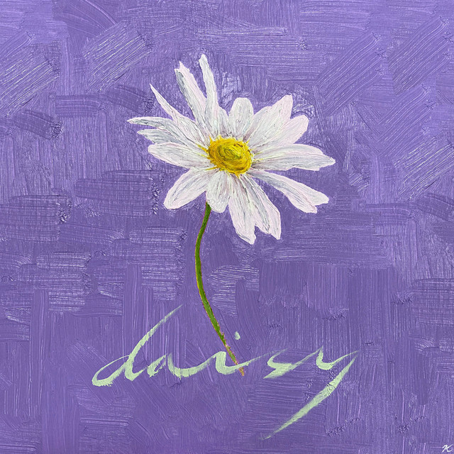 Daisy Stereo Dive Foundation