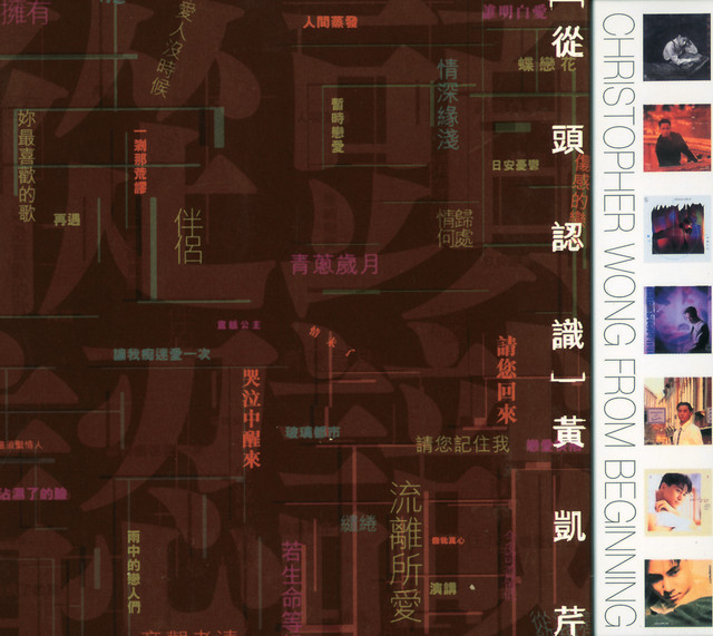 雨中的戀人們 黃凱芹