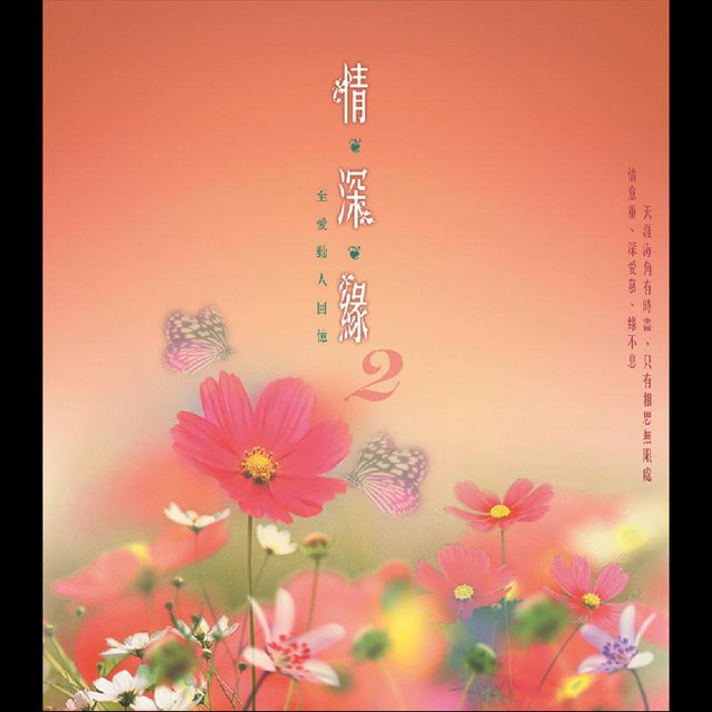 九月九的酒 陈少华