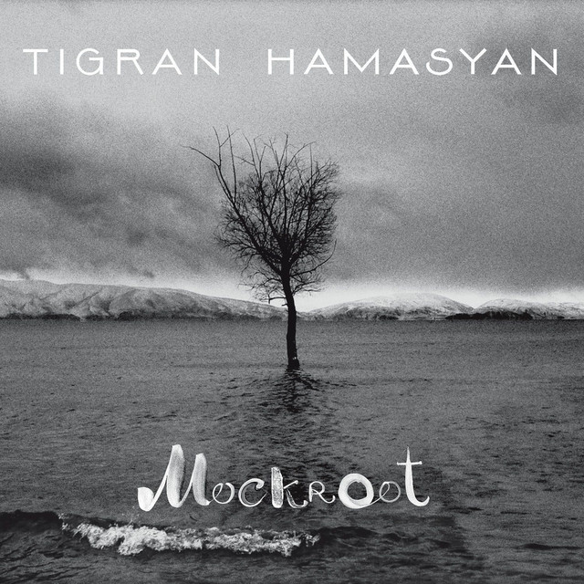 Double-Faced Tigran Hamasyan