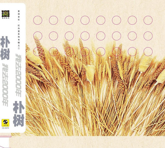 白桦林 扑树