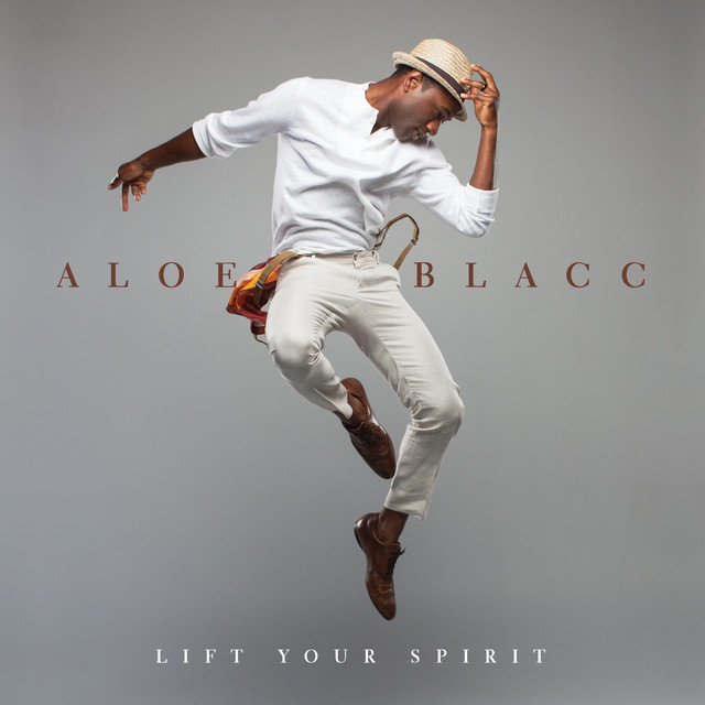 The Man Aloe Blacc