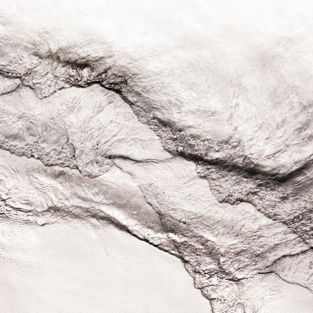 Disclosed フェデリコ・アルバネーゼ