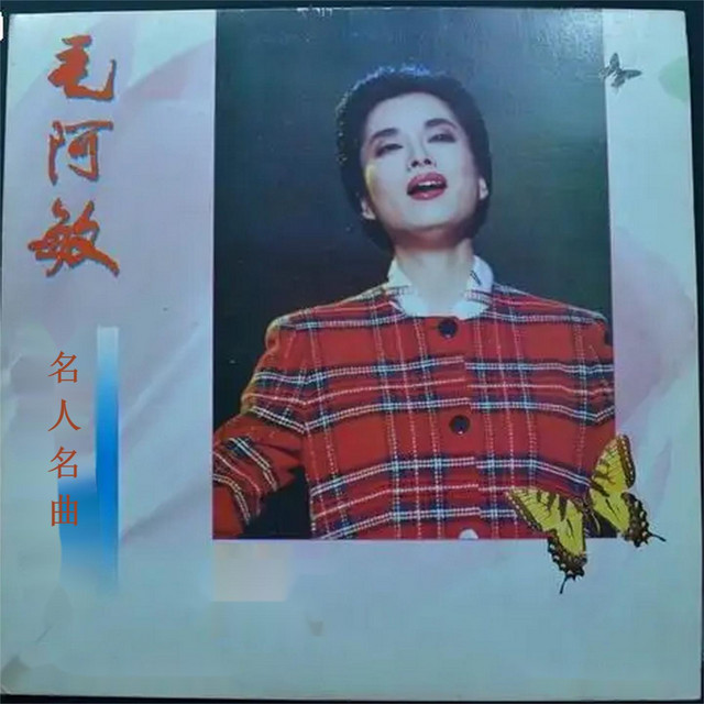 渴望 毛阿敏
