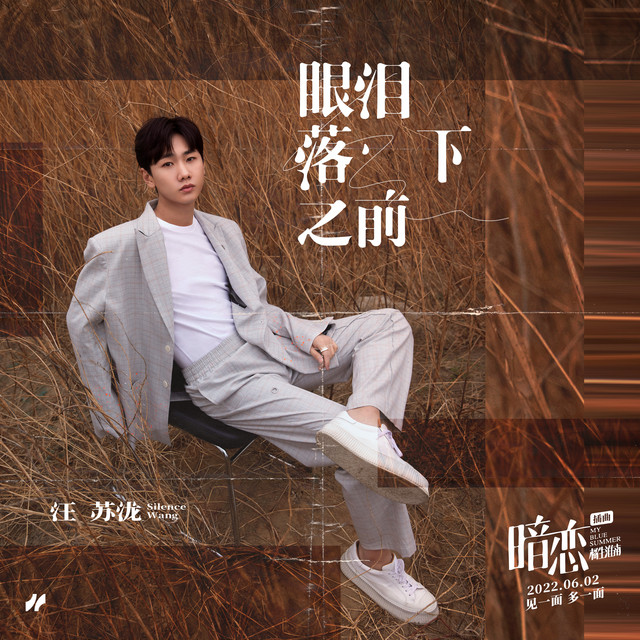 眼淚落下之前 汪蘇瀧