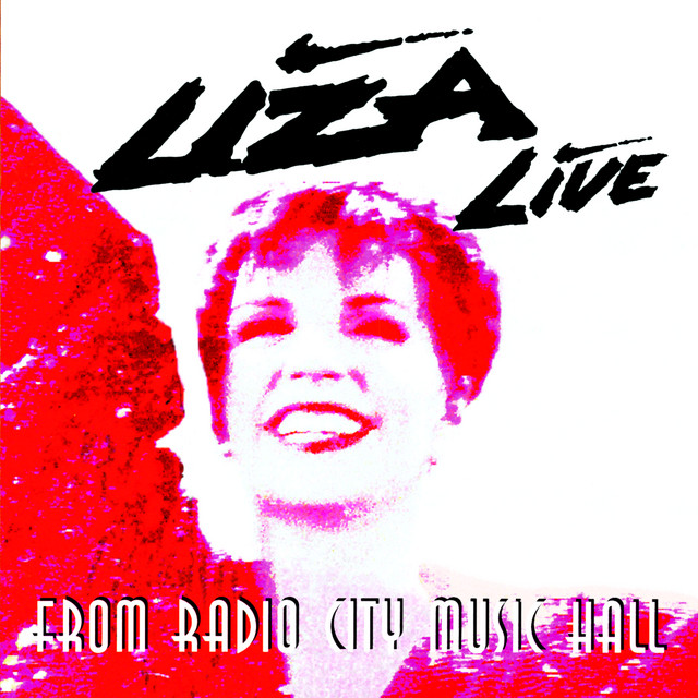 Sorry I Asked Liza Minnelli