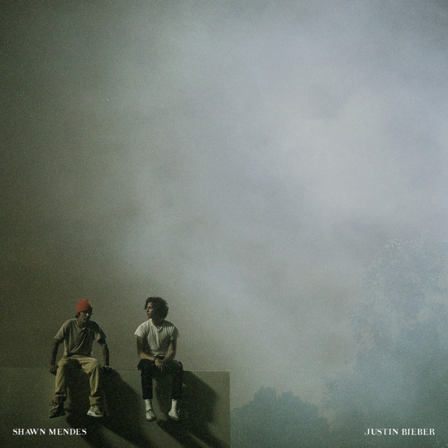 Monster Shawn Mendes, Justin Bieber