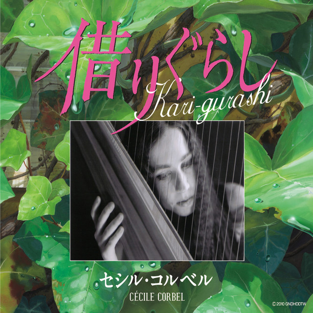 The Dwarf Who Borrows Things  Joe Hisaishi