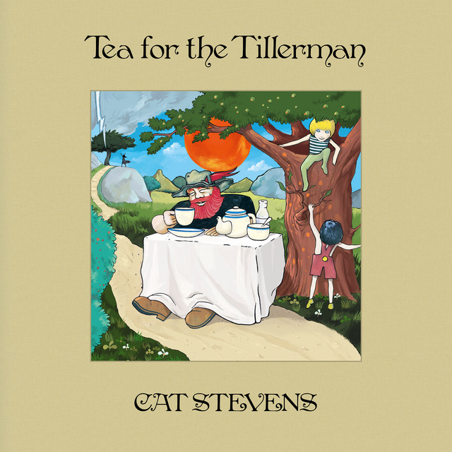If You Want To Sing Out, Sing Out Cat Stevens