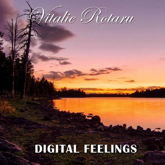 Digital Feelings ヴィタリー・ロタルー