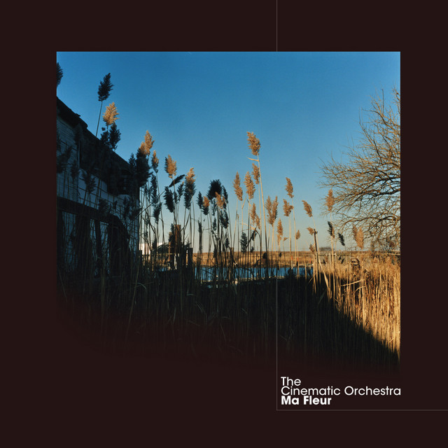 To Build A Home The Cinematic Orchestra