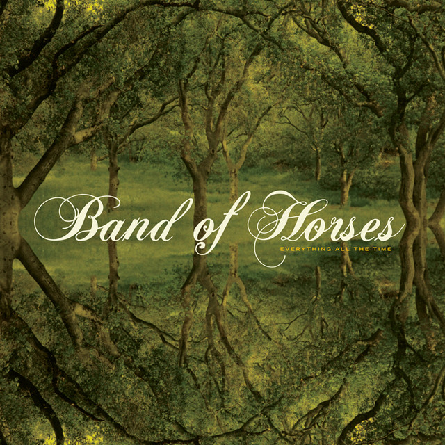 The Funeral Band Of Horses