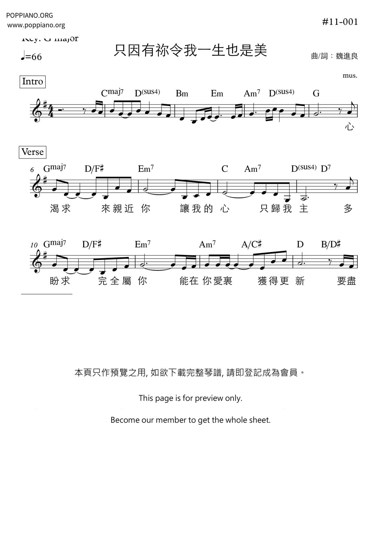 只因有祢令我一生也是美琴譜