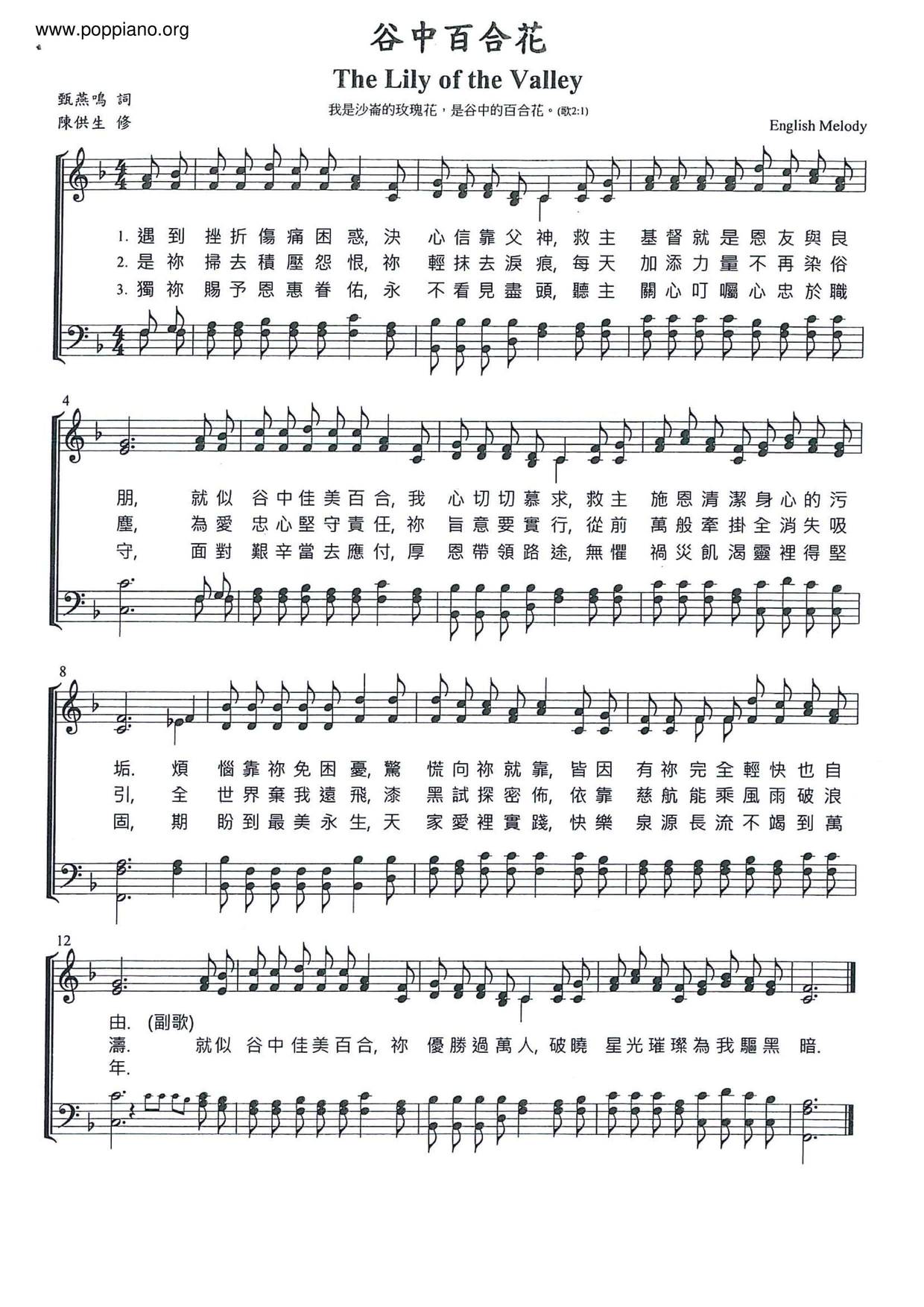 谷中百合花pdf琴谱免费下载 香港流行钢琴协会