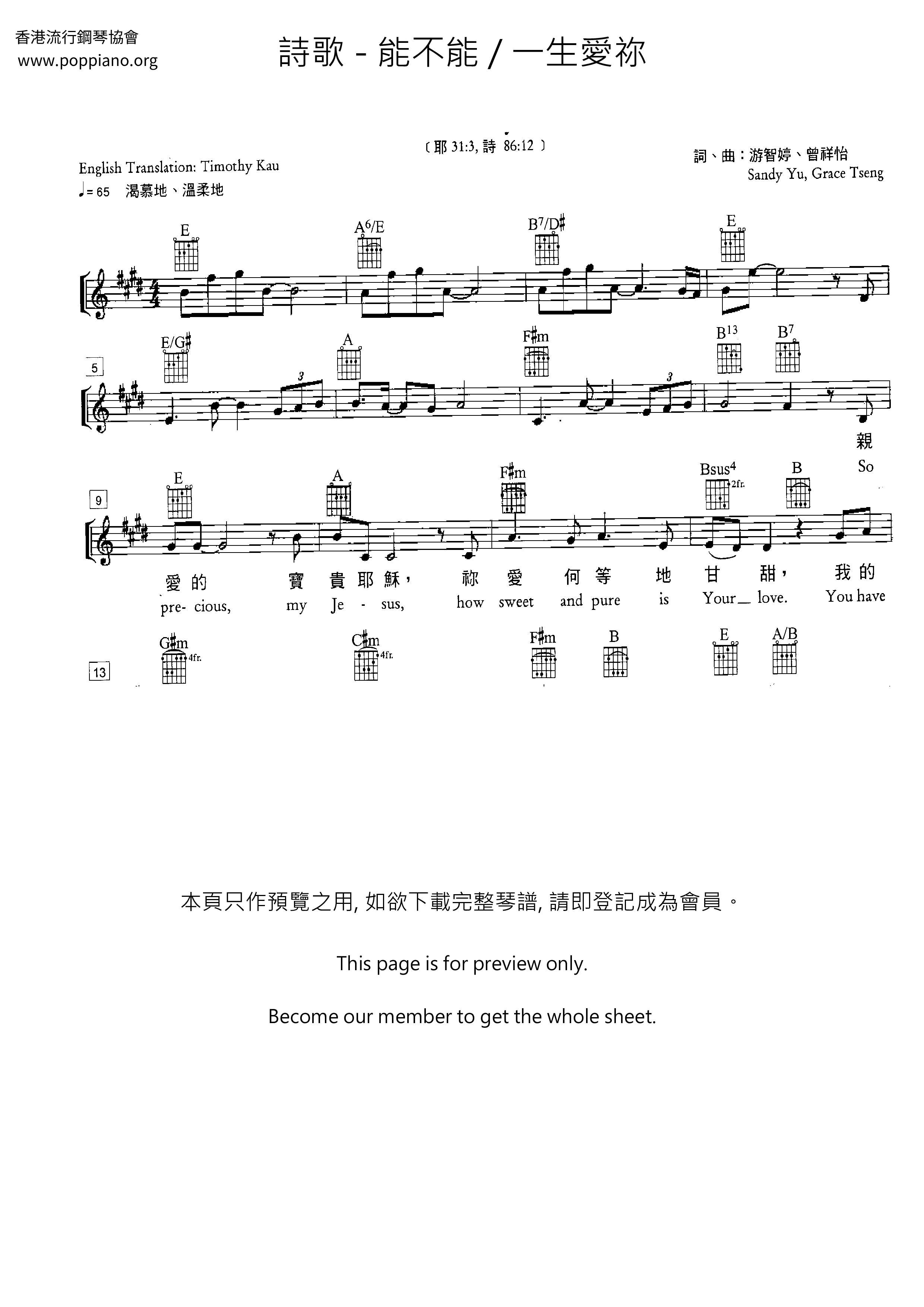 能不能 / 一生愛祢琴譜