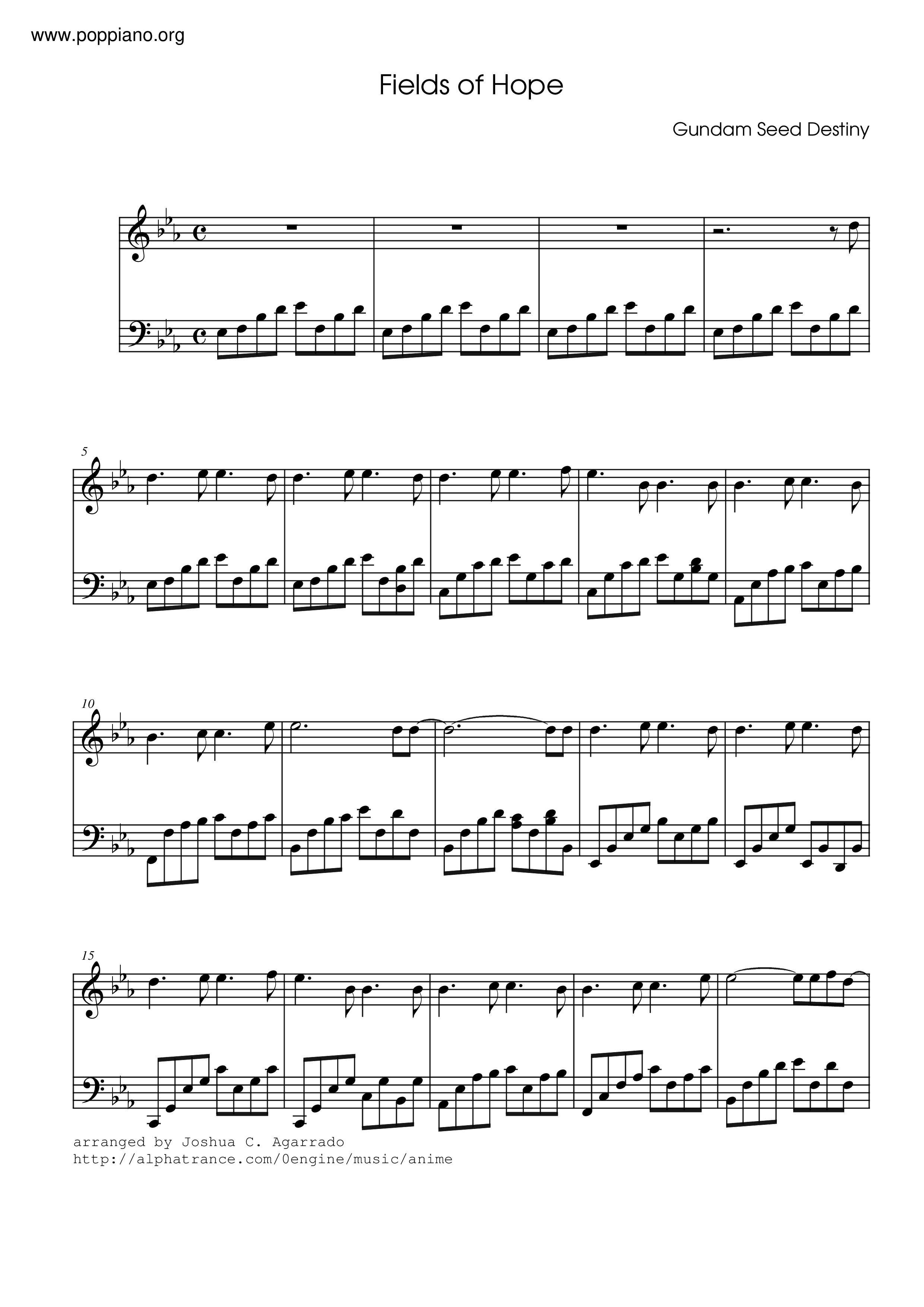 Gundam Seed Destiny - Fields Of Hope琴譜